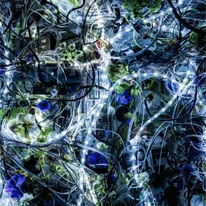 Aimer – ninelie EP【96kHz／24bit】日本区-OppsUplus音乐王国