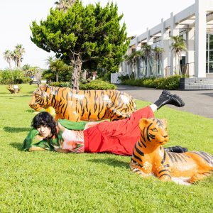 あいみょん – ハート【48kHz／24bit】wvko9dwwcwtpc日本区-OppsUplus音乐王国