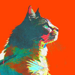 米津玄師 – 毎日 – Every Day【48kHz／24bit】日本区-OppsUplus音乐王国