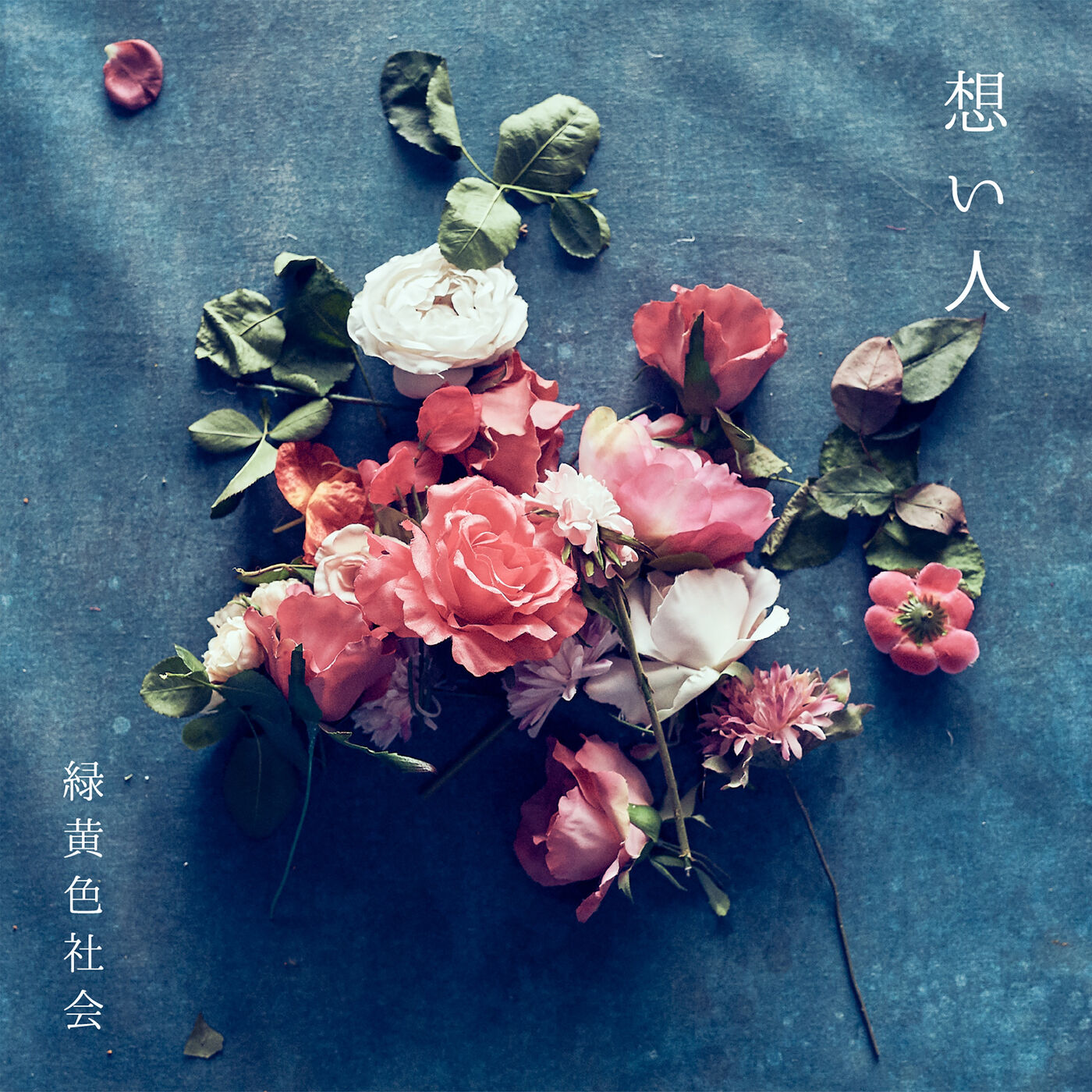 緑黄色社会 – 想い人【44.1kHz／16bit】日本区-OppsUplus音乐王国