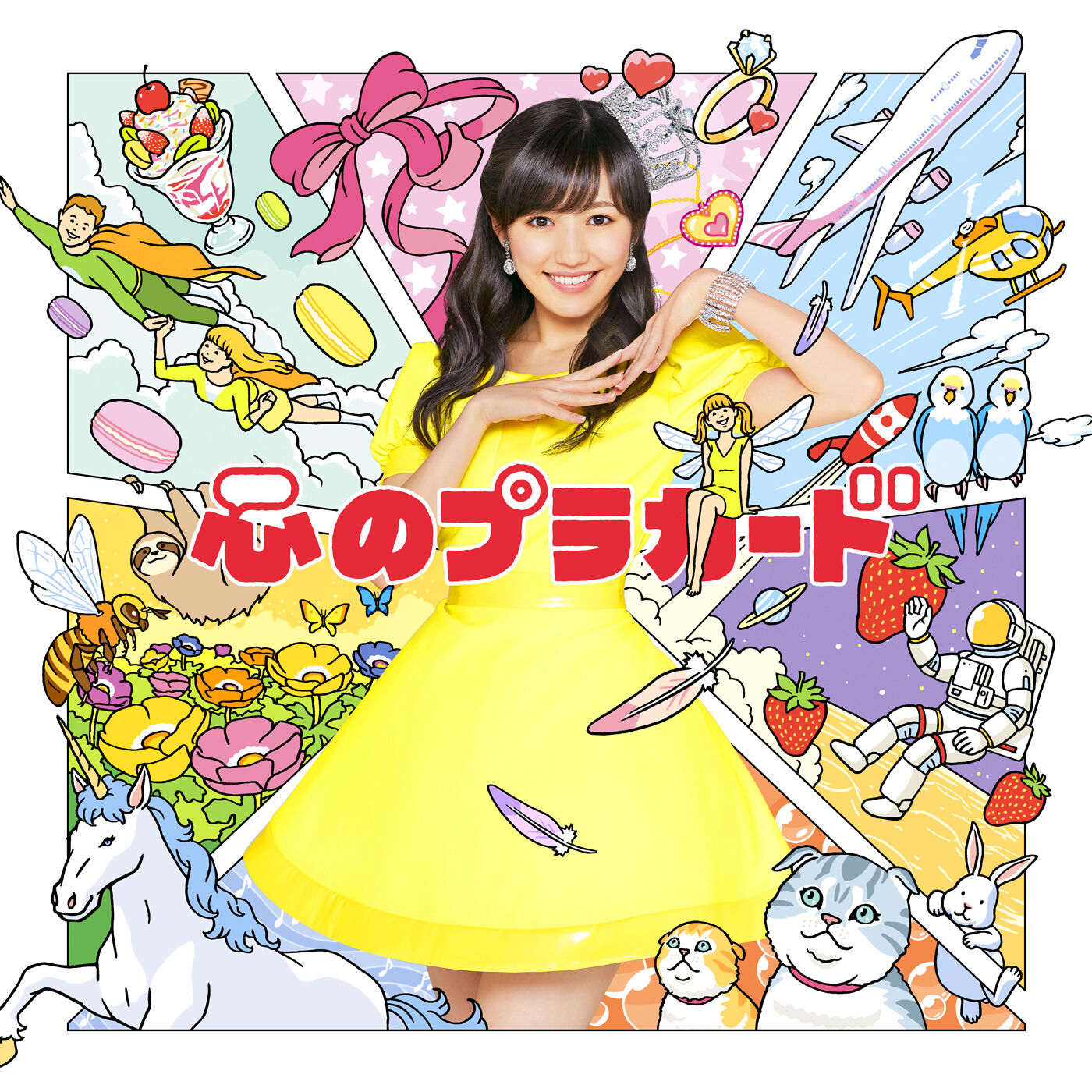 AKB48 – 心のプラカード Type D 初回盘【44.1kHz／16bit】日本区-OppsUplus音乐王国