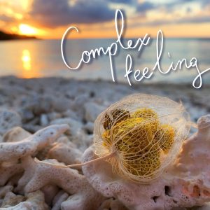 HY – Complex feeling【44.1kHz／16bit】日本区-OppsUplus音乐王国