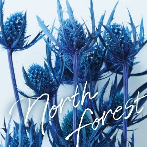 HY – North Forest【44.1kHz／16bit】日本区-OppsUplus音乐王国